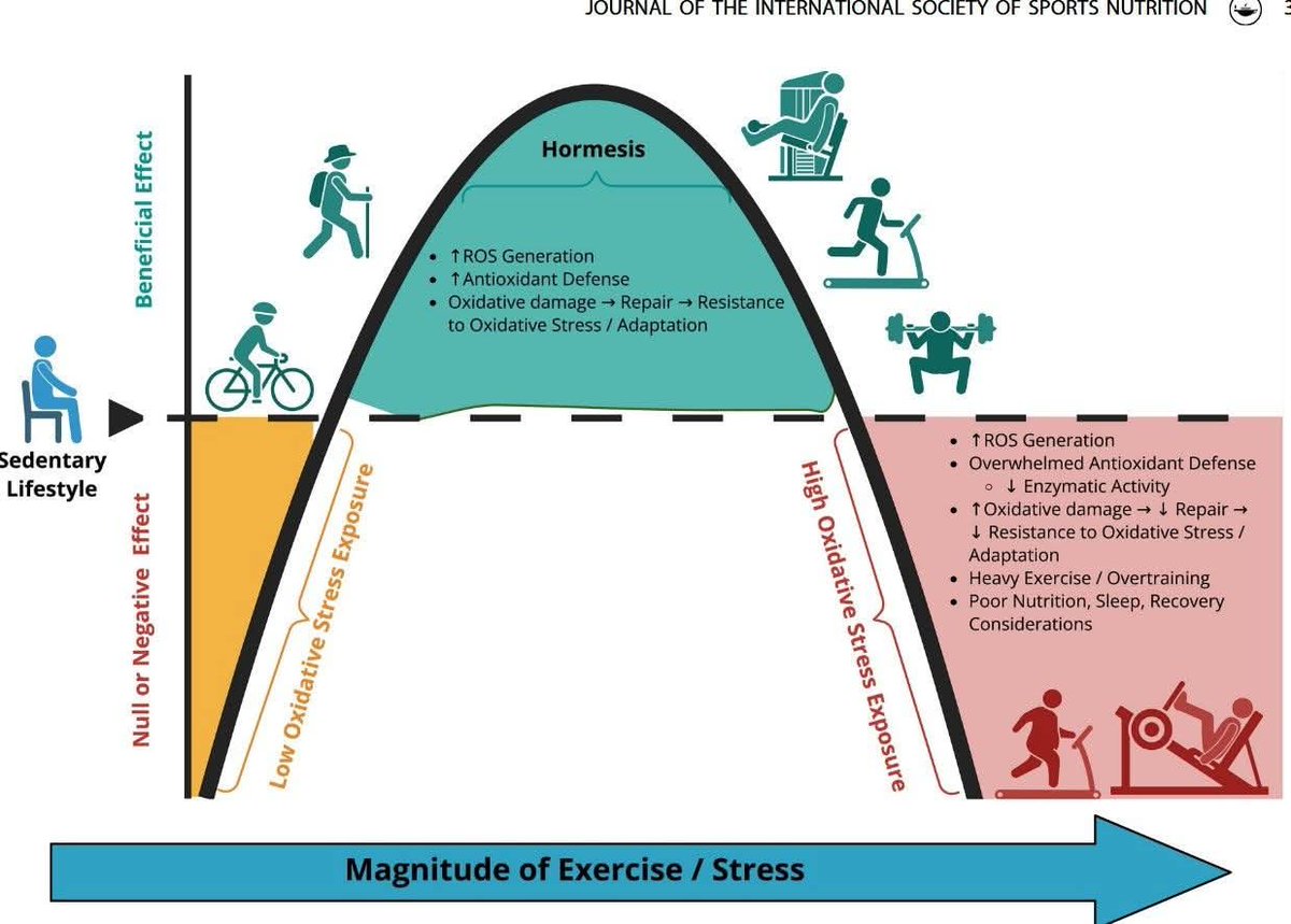 William A. Wallace, Ph.D. tweet media