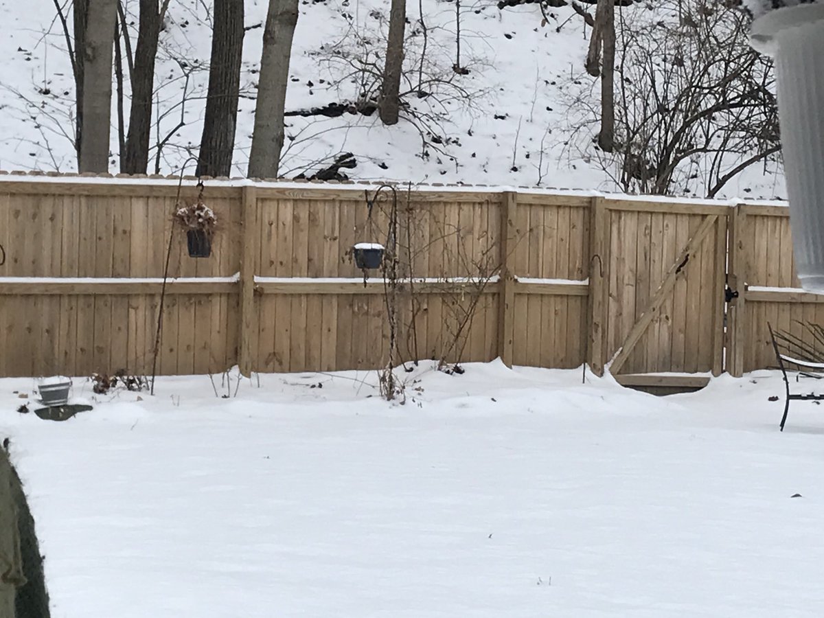 randy clark tweet media