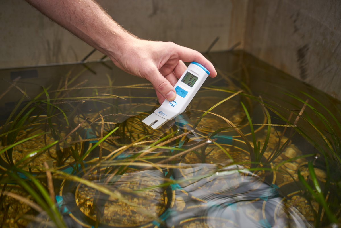 Rijkswaterstaat Noord-Nederland tweet media