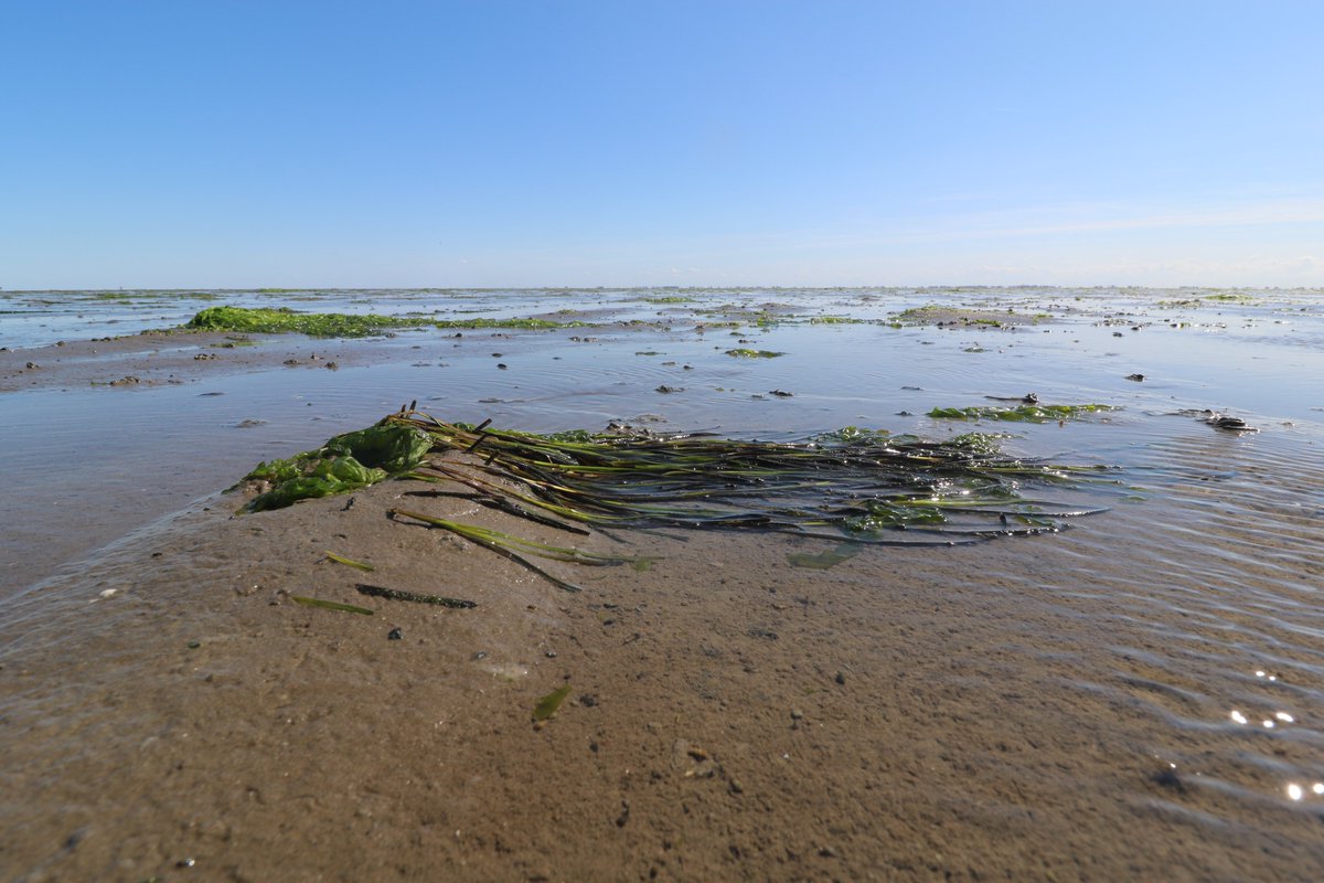 Rijkswaterstaat Noord-Nederland tweet media