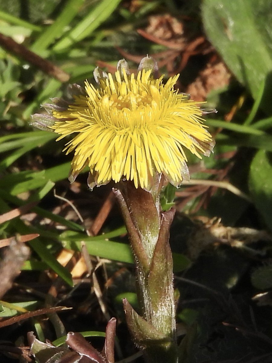 Paul Masters tweet media