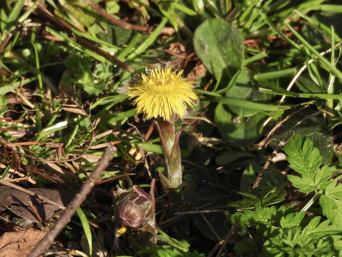 Paul Masters tweet media