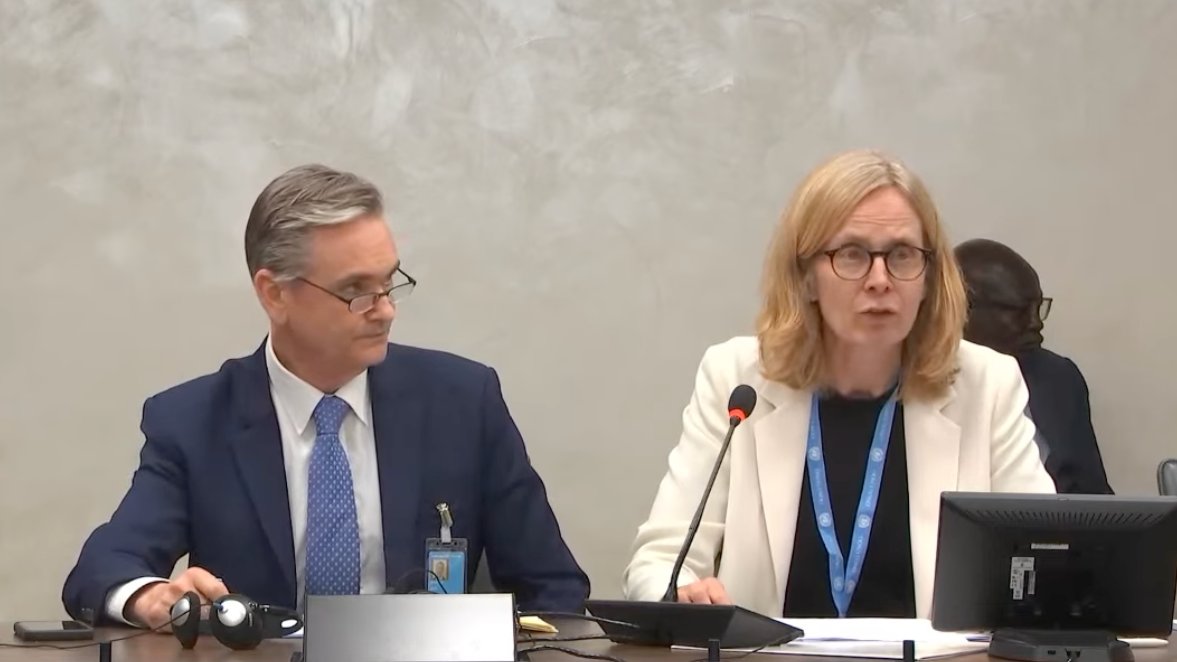 Mary Lawlor UN Special Rapporteur HRDs tweet media