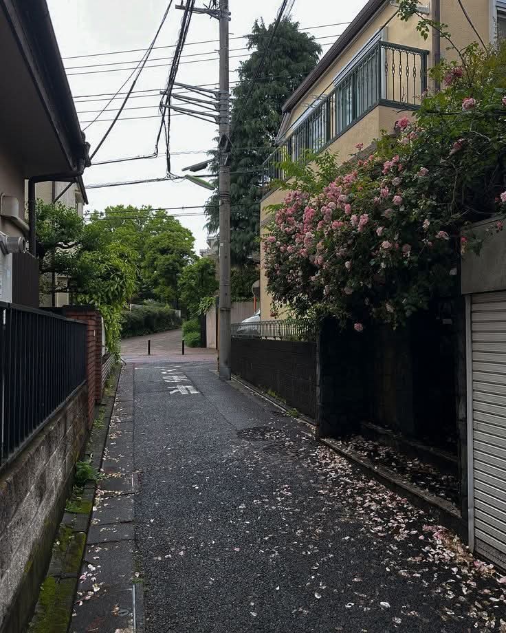 WanderLens tweet media