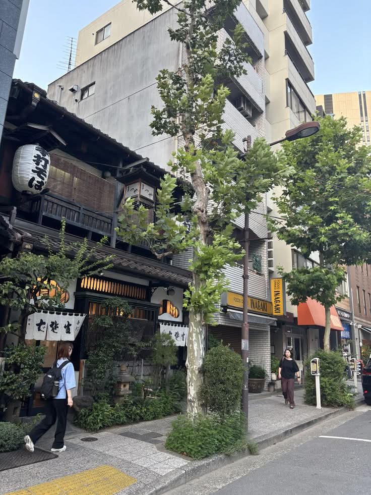 WanderLens tweet media