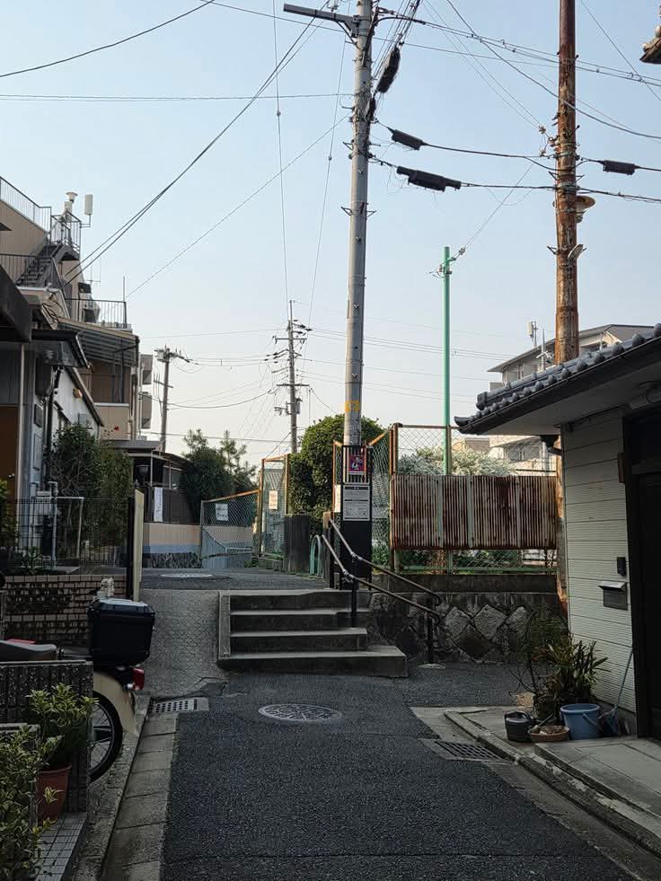 WanderLens tweet media