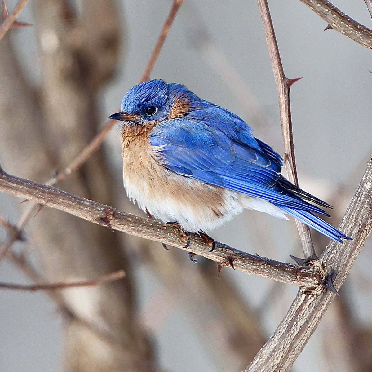 Lisa Nature Photo tweet media