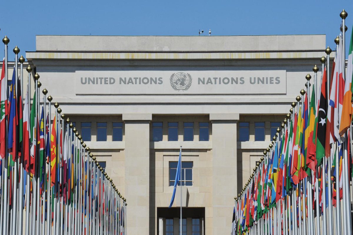 🔴 LIVE from #UnitedNations 🇺🇳 | #Geneva

🗓️ 4 March | 🕐 13:00 CET
“Human Rights in Indonesia – The Right to a Clean, Healthy &amp; Sustainable Environment”🍃 

🔗 oikoumene.org/events/human-r…