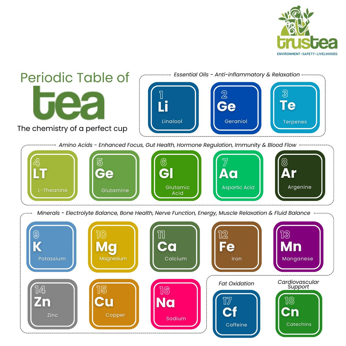 TrusteaF's tweet photo. Unlock the chemistry of your perfect cup! PART 2 🌿 From L-Theanine for calm to caffeine for kick, discover tea's amino acids, minerals &amp; essential oils. Brew smarter with Trustea. #Trustea #TeaChemistry #HealthyTea #SustainableTea #TeaScience https://t.co/39t0Sj1DEb