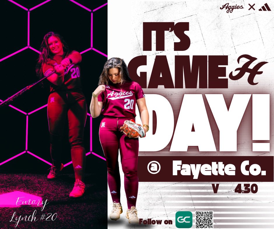 Hamilton Softball tweet media