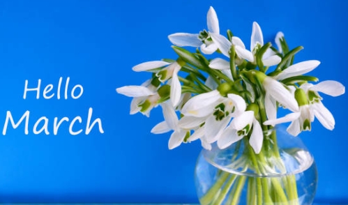 Suwannee Sunshine Services tweet media