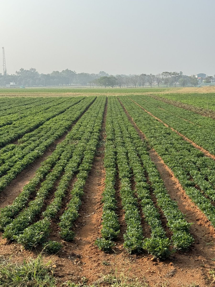 Dr. Stan Blade KSLA 🇨🇦🇮🇳 tweet media