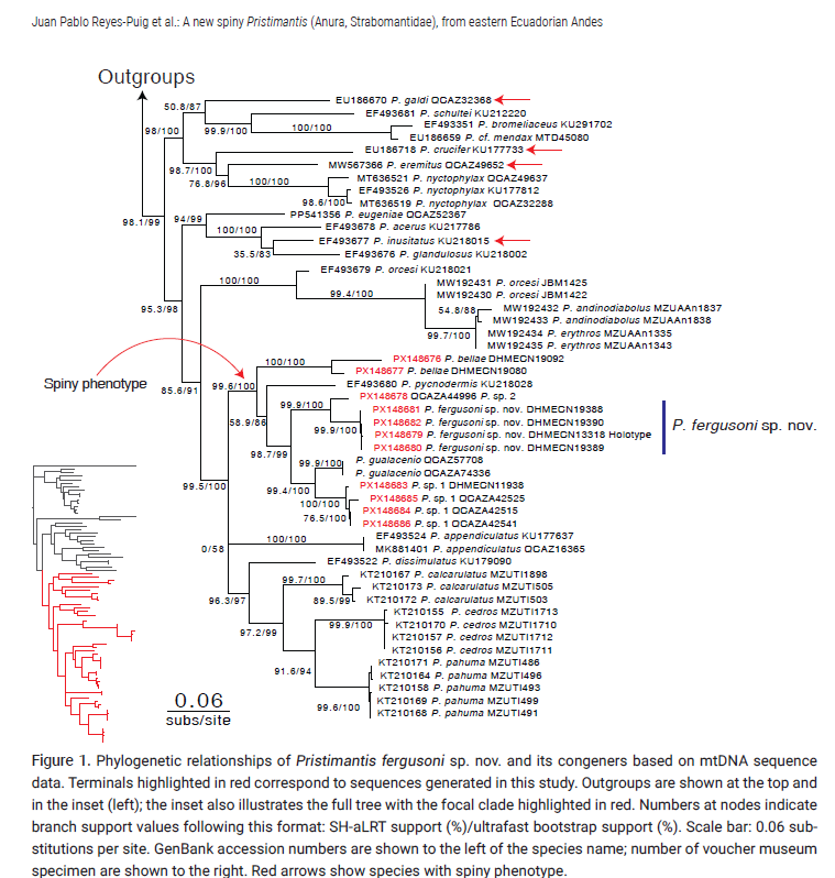 Pablo Jarrín-V. tweet media