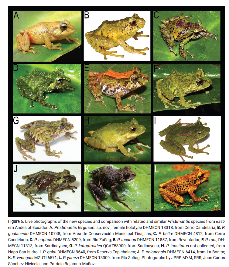 Pablo Jarrín-V. tweet media