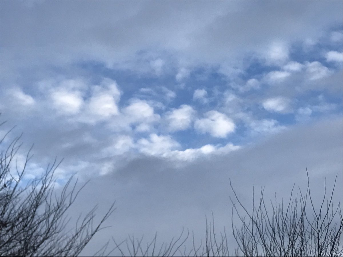 randy clark tweet media