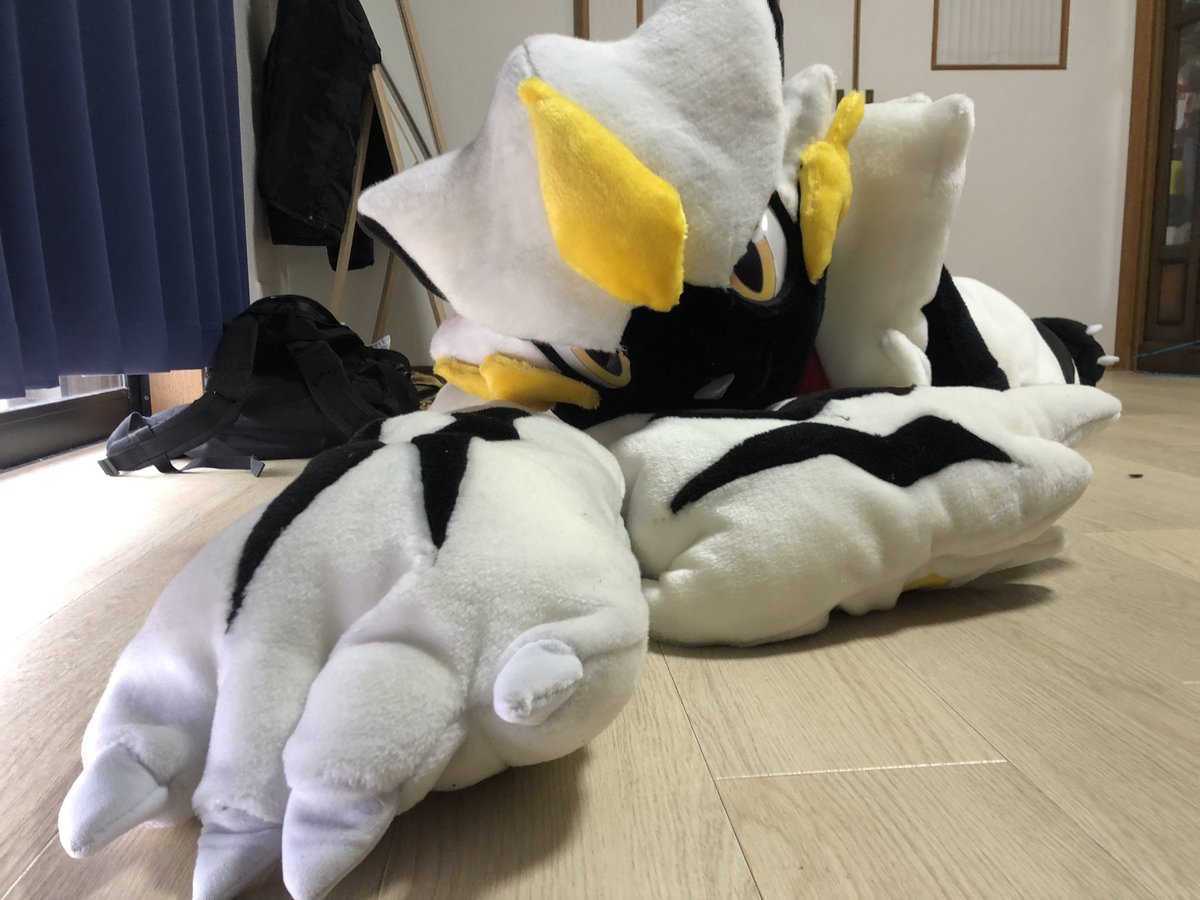 疲れたゼラパイセン