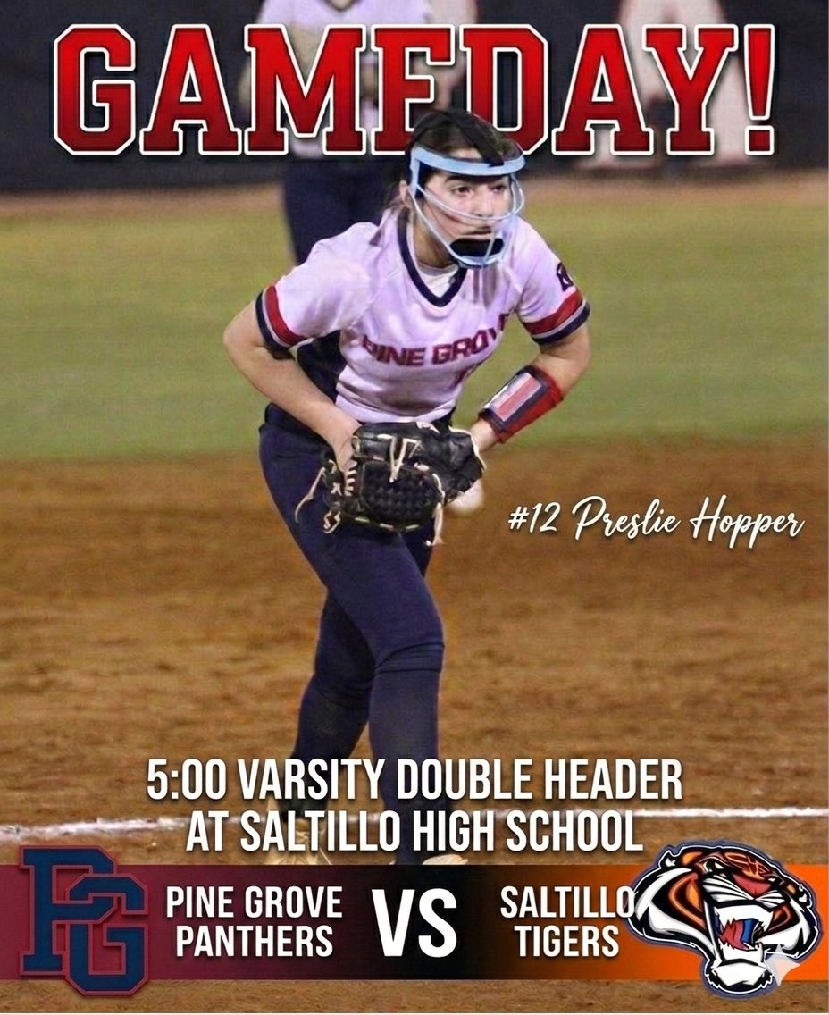 Pine Grove Softball tweet media