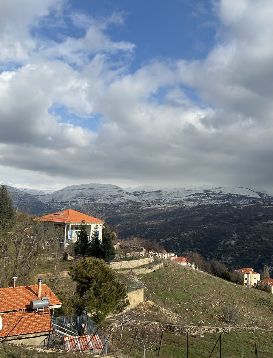 Ayda🍟 tweet media