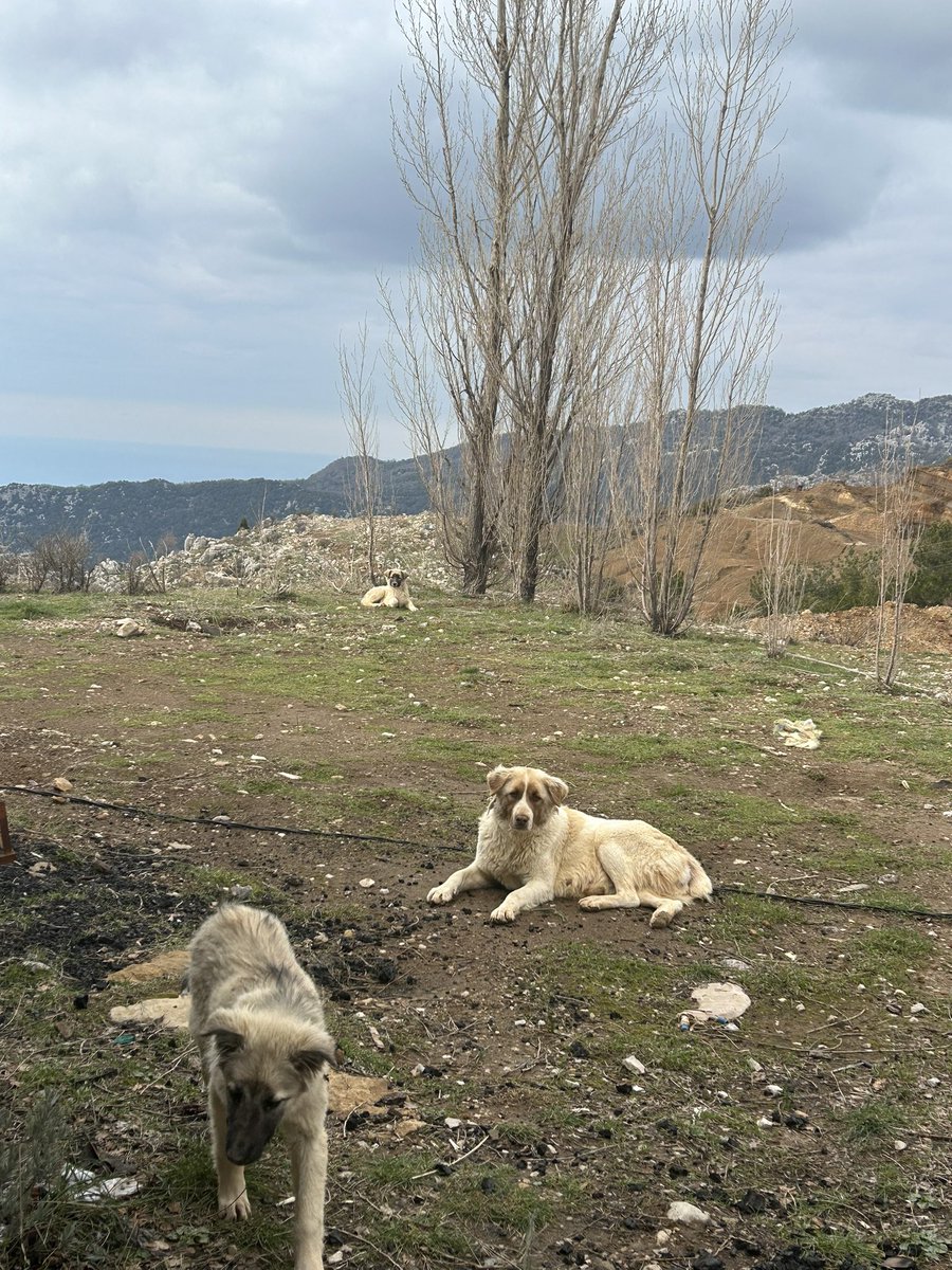 Ayda🍟 tweet media