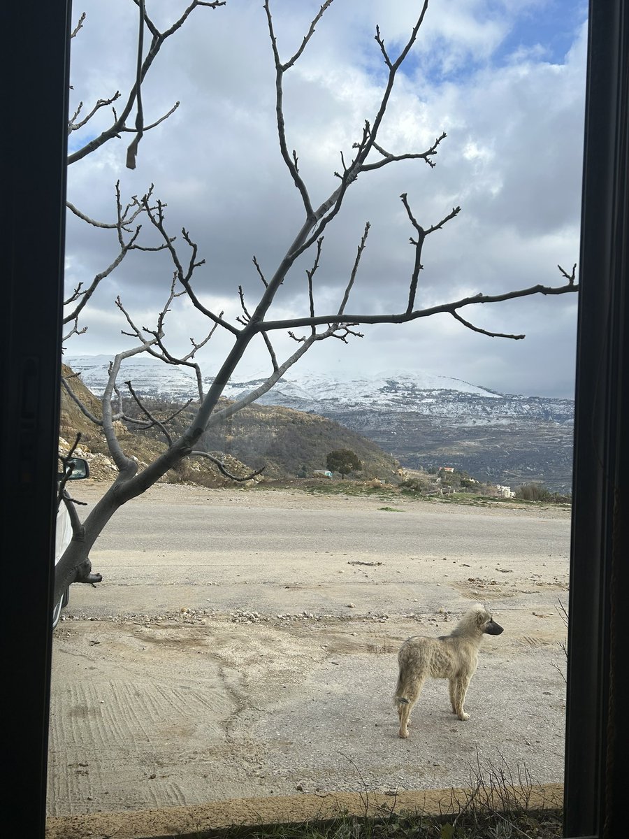 Ayda🍟 tweet media