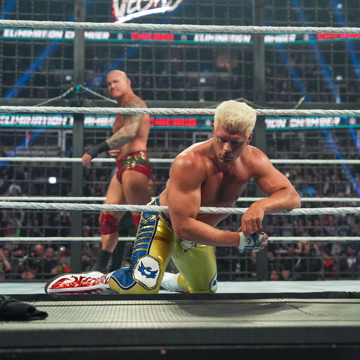 Wrestle Features tweet media