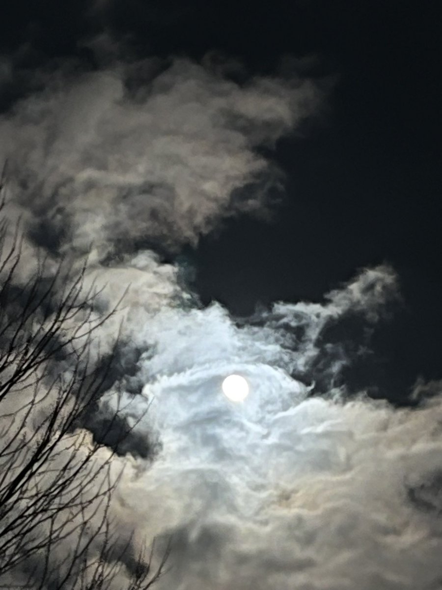 Thomas Stoll tweet media