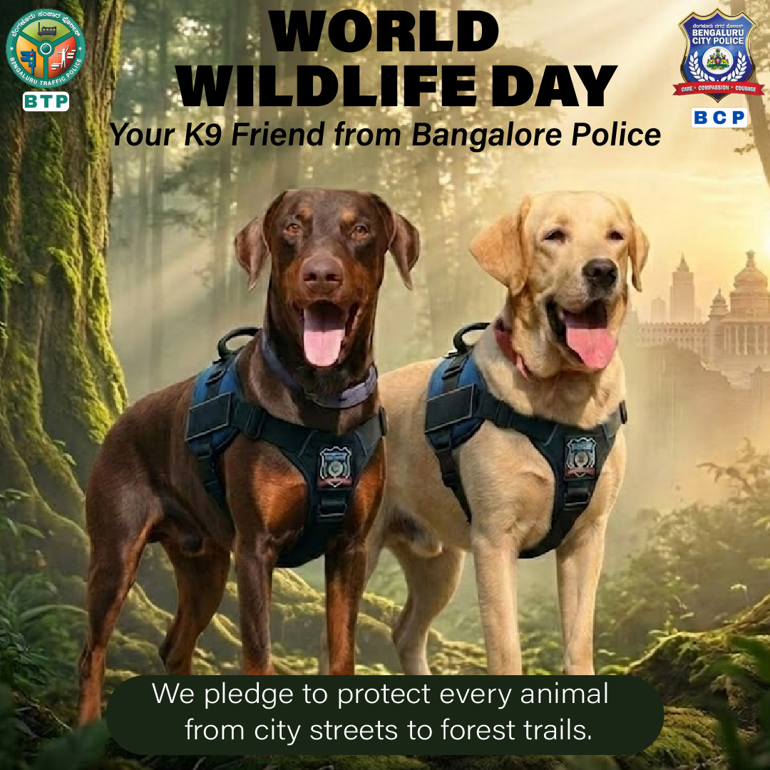 Bengaluru Paw Patrol tweet media