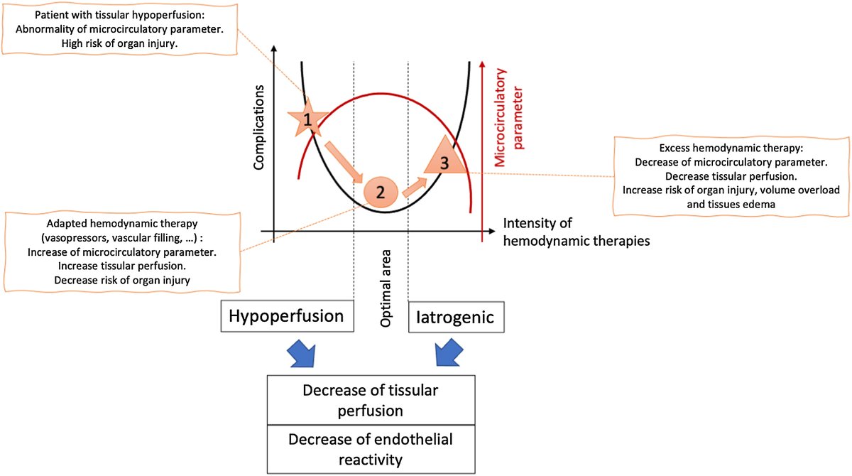 Microcirculation in anaesthesia: What every anaesthesiologist should know?

CCR Journal Watch 
criticalcarereviews.com/latest-evidenc…
