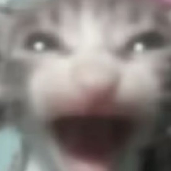 유진 얼굴 진짜 잘생겨서 숨 쉬는 생물은 다 발걸음 멈출 듯...