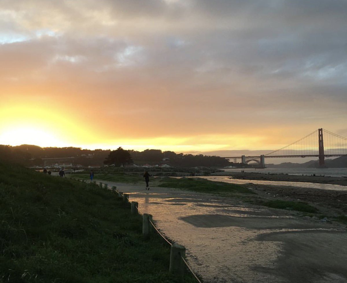 StripMallGuy tweet media