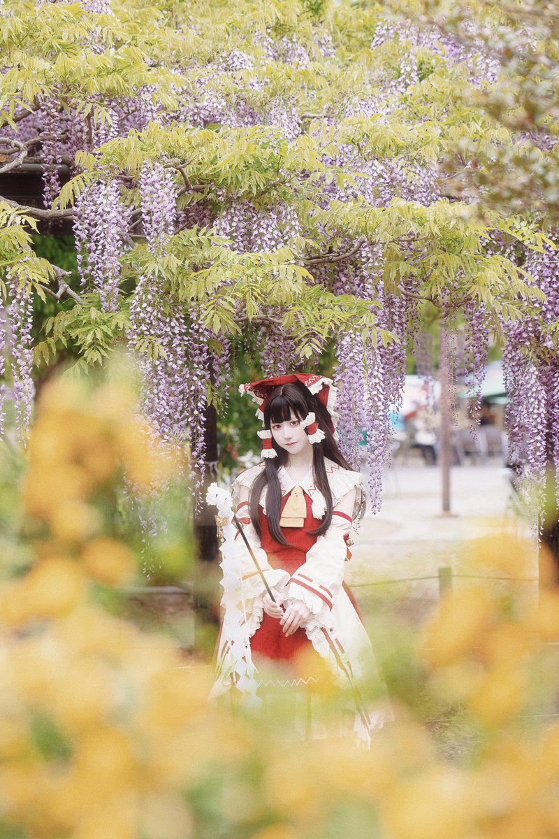 cosplay
博麗霊夢

Wonderland