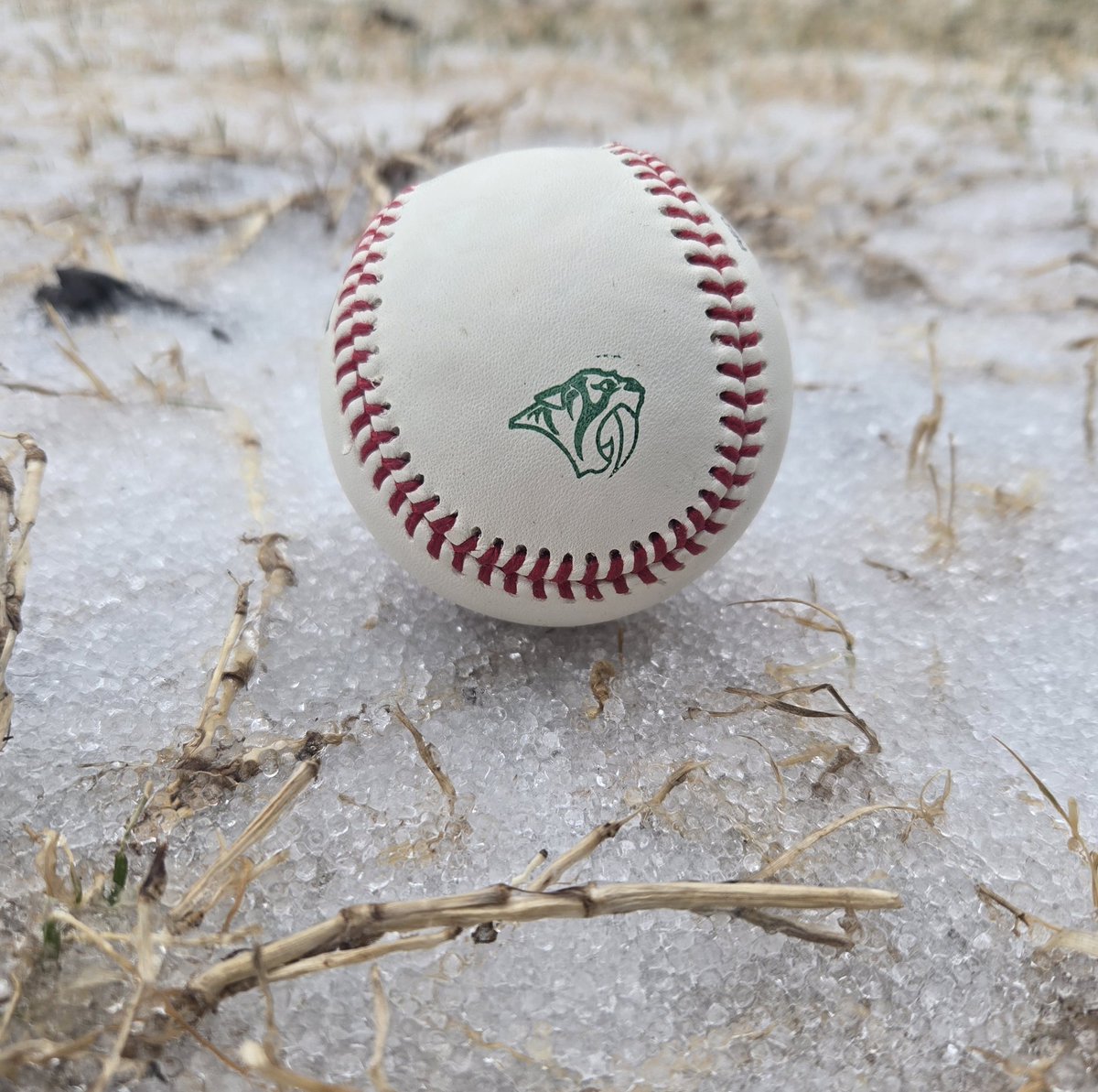 STM Baseball tweet media