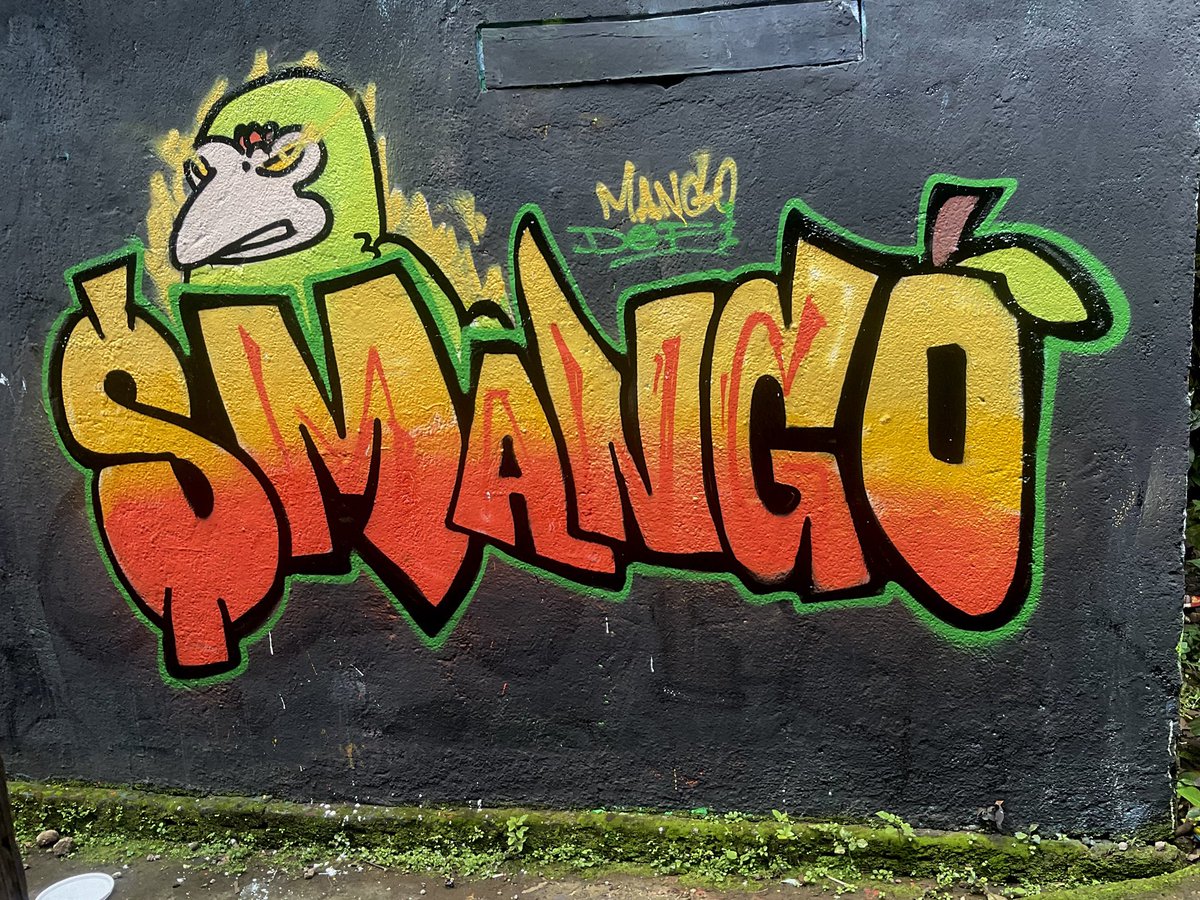 rismgraff310's tweet photo. $Mango in real graffiti invades the city walls! I made real graffiti $mango with a lot of effort. I hope you like it!
#MangoDefi #MangoSwap 
@0xmangoswap @0xmangodeficoin https://t.co/MNqei3OYLL