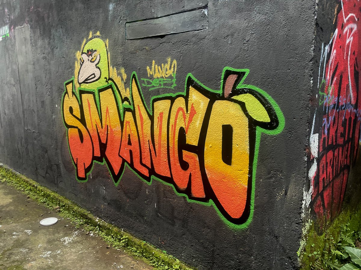 rismgraff310's tweet photo. $Mango in real graffiti invades the city walls! I made real graffiti $mango with a lot of effort. I hope you like it!
#MangoDefi #MangoSwap 
@0xmangoswap @0xmangodeficoin https://t.co/MNqei3OYLL