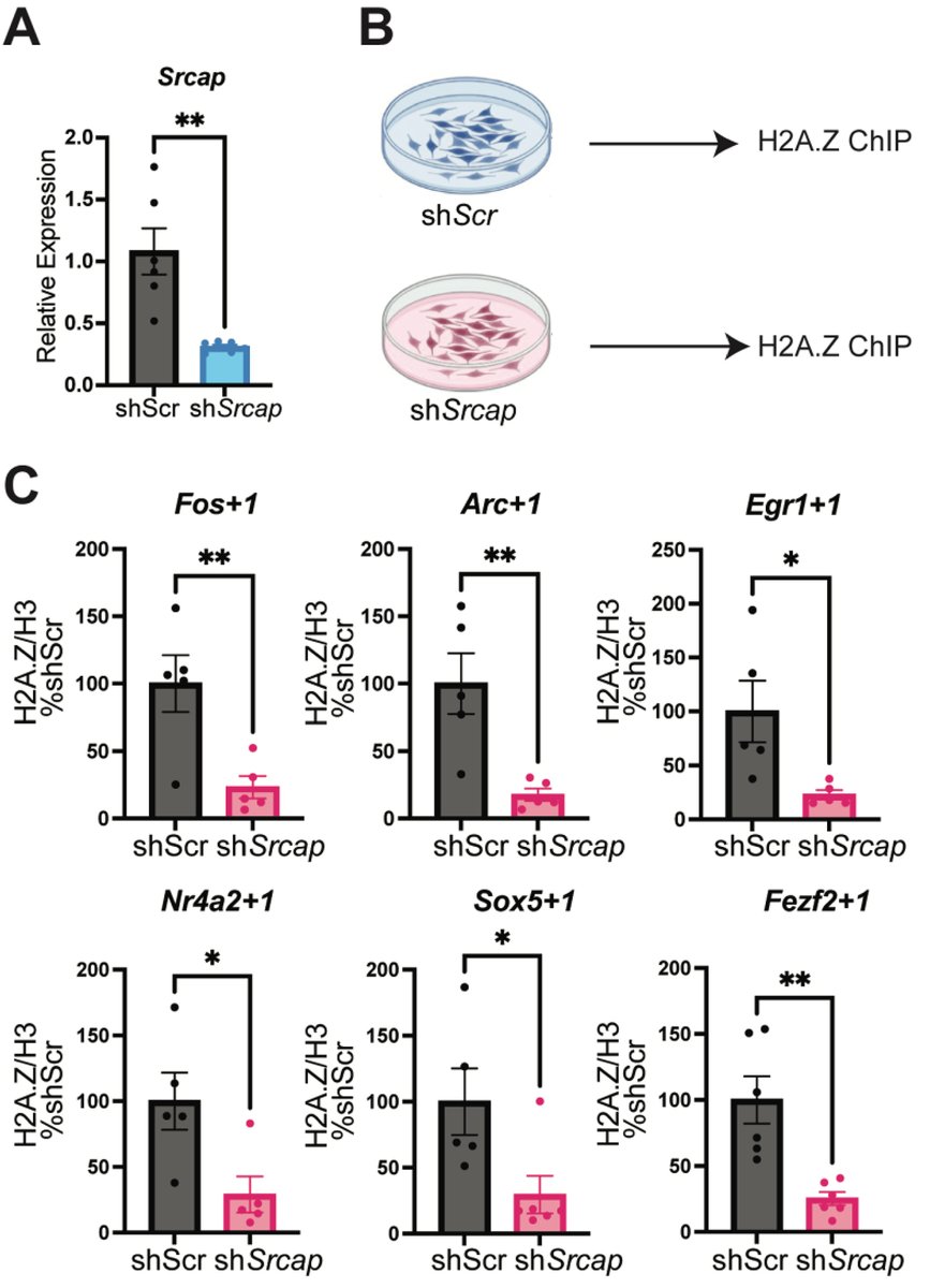 Biochemistry and Cell Biology tweet media