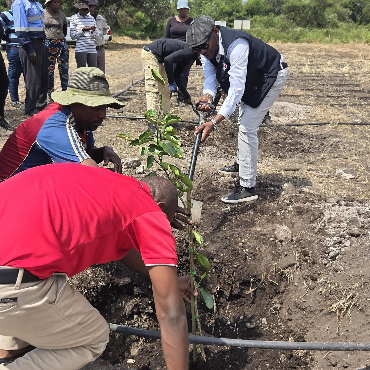 Botswana Red Cross Society tweet media