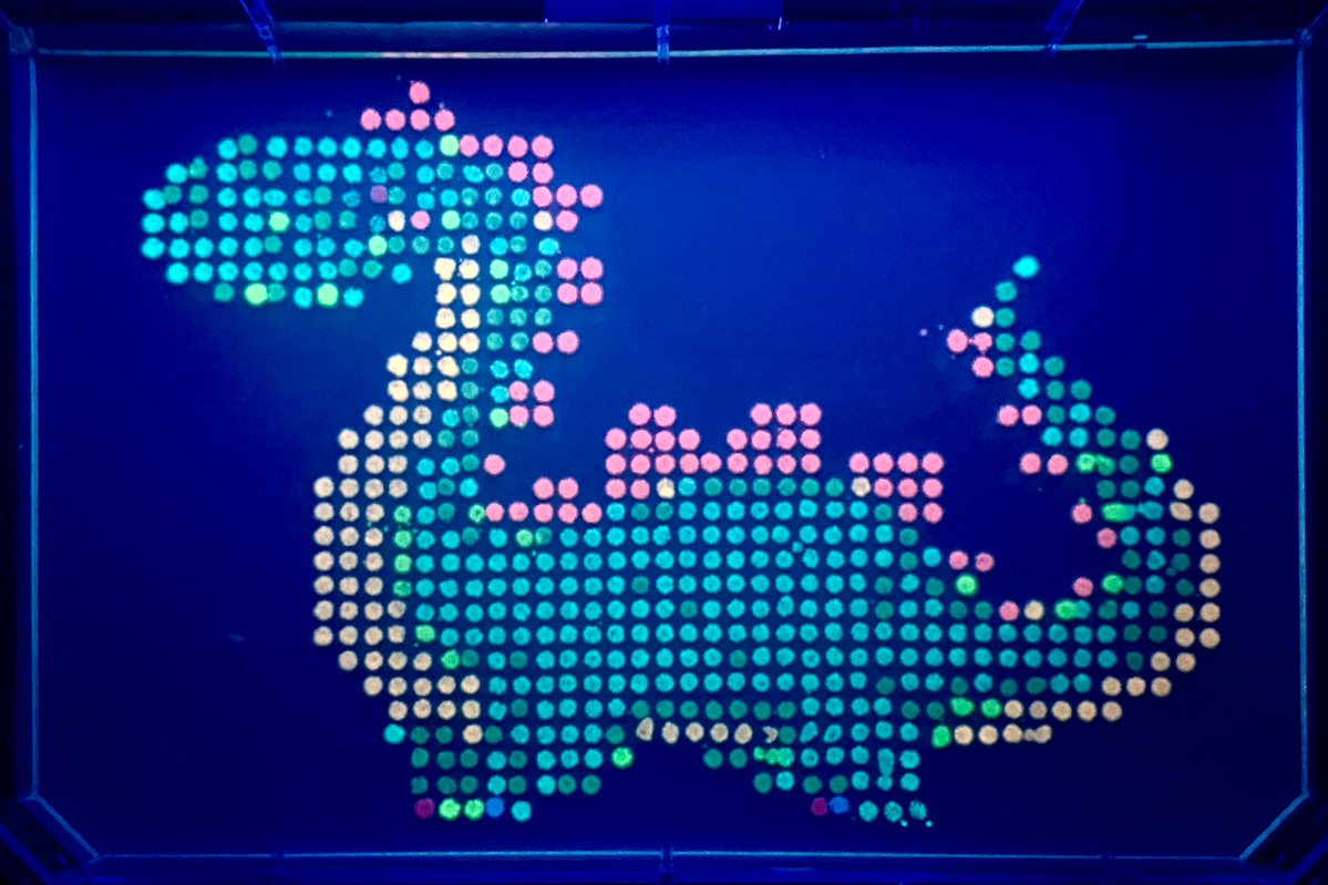 Jason Kelly tweet media