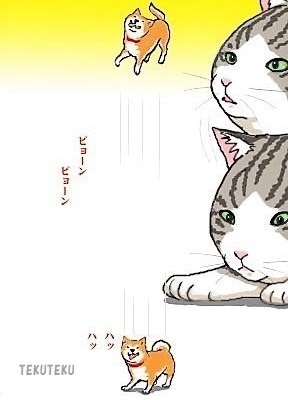「小豆柴」⑦・腹ごなし🐾🎶 