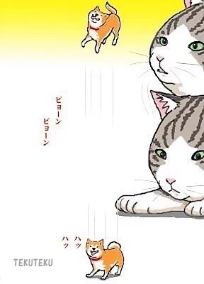 「小豆柴」⑦・腹ごなし🐾🎶 