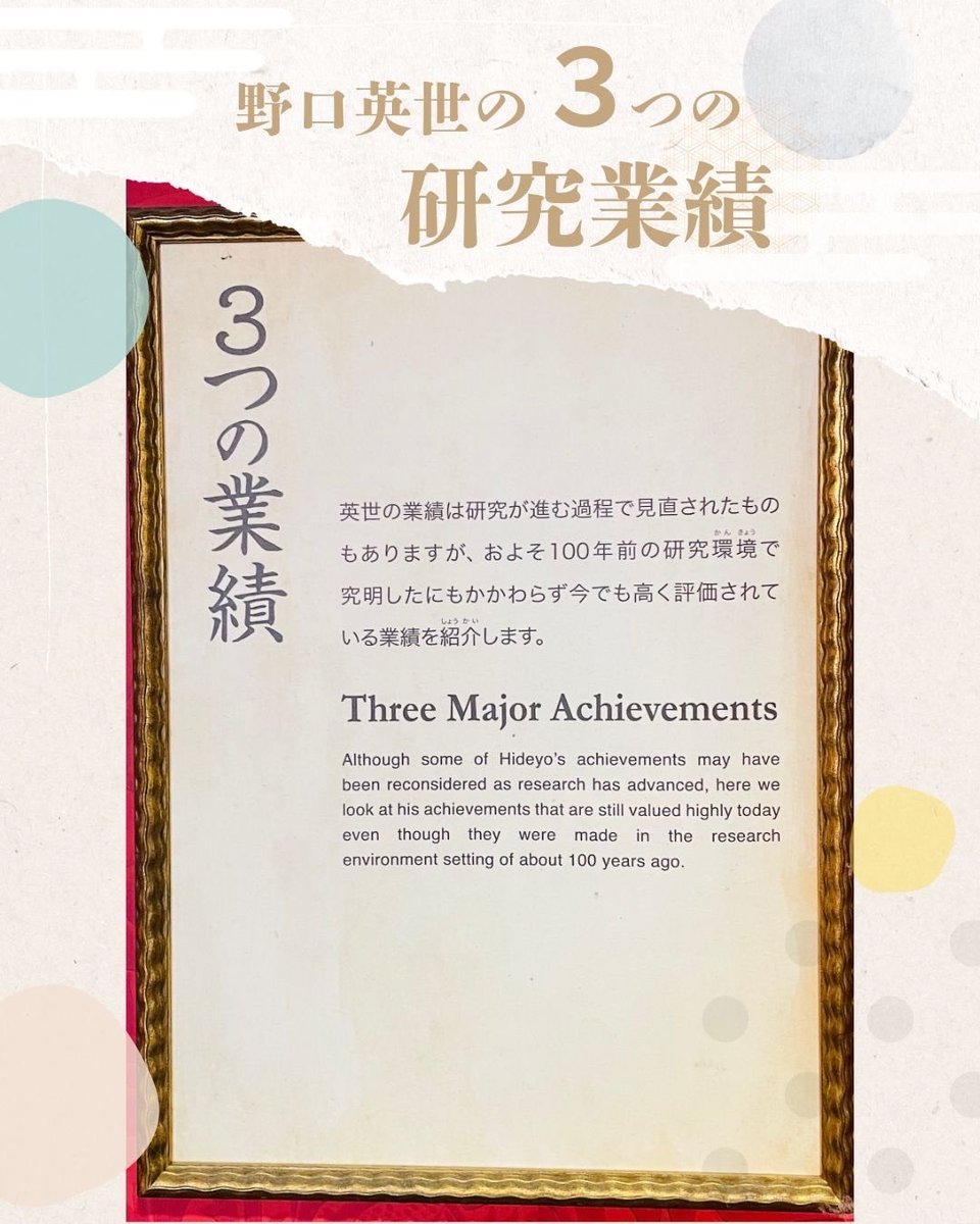 野口英世記念館【公式】Hideyo Noguchi Memorial Museum tweet media