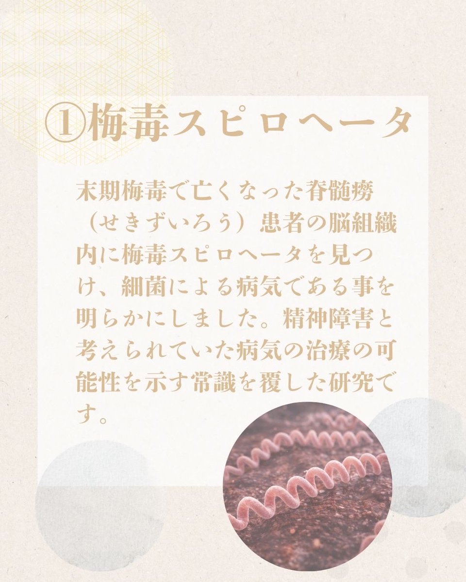 野口英世記念館【公式】Hideyo Noguchi Memorial Museum tweet media