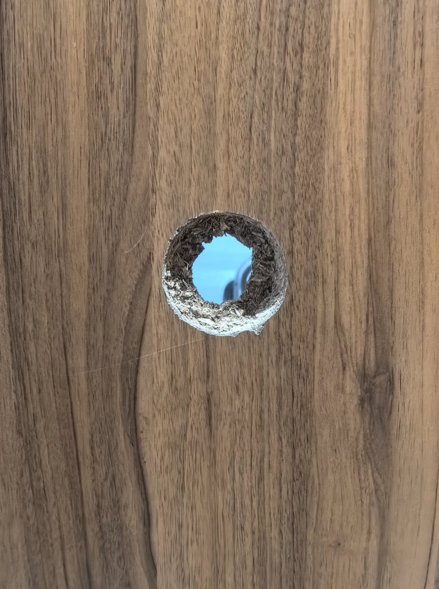 不良少年 tweet media