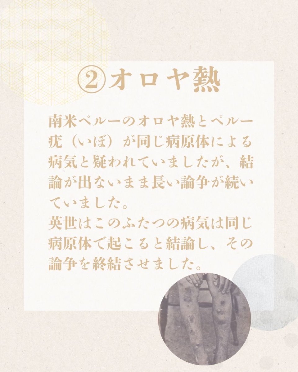 野口英世記念館【公式】Hideyo Noguchi Memorial Museum tweet media