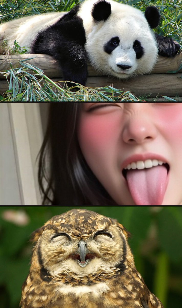 me and who tweet media