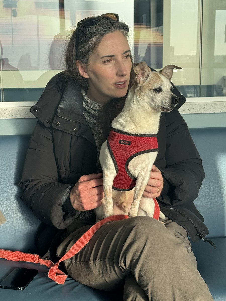 StabbyTimeTV tweet media