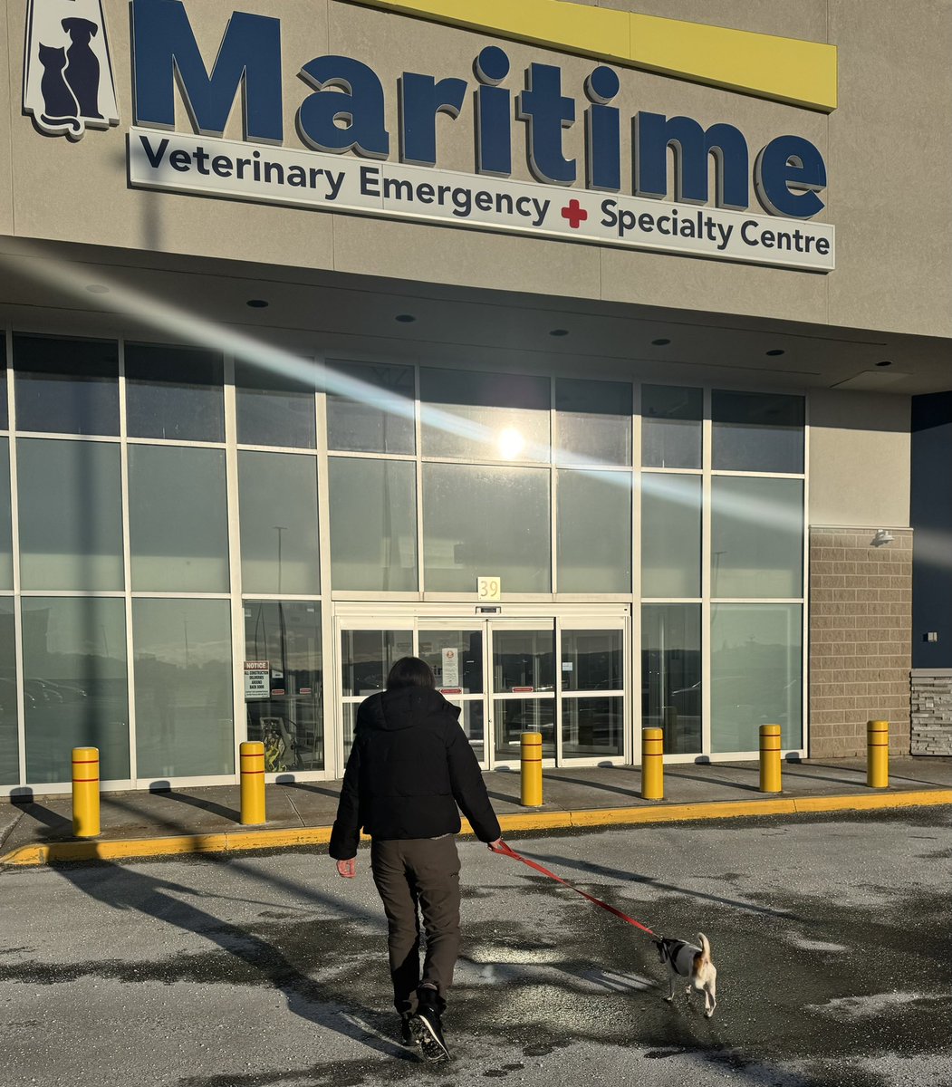 StabbyTimeTV tweet media