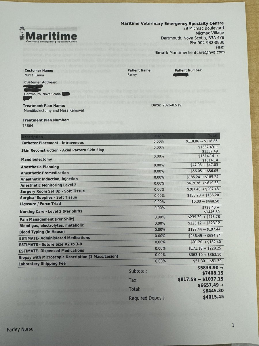 StabbyTimeTV tweet media