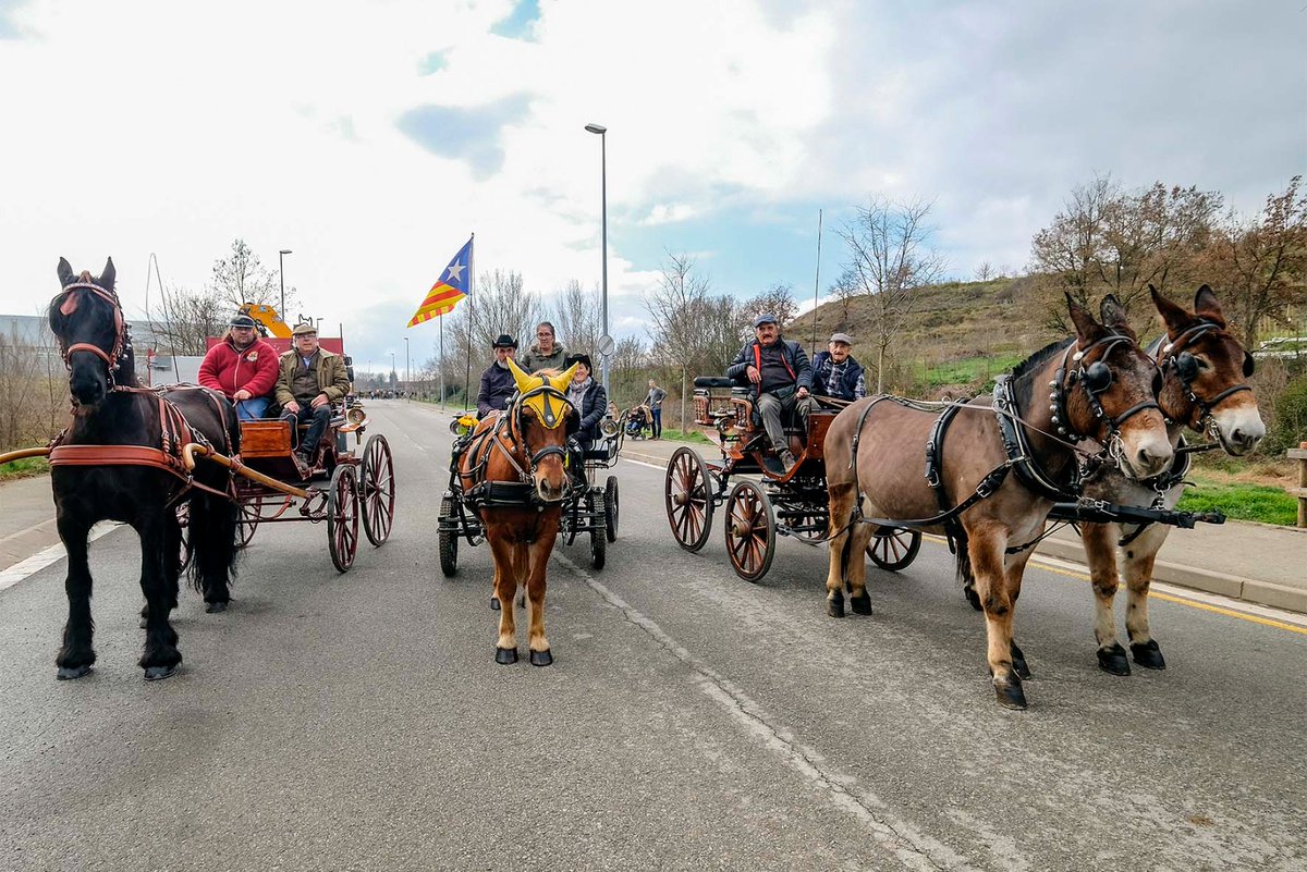 Ajuntament de Roda de Ter tweet media