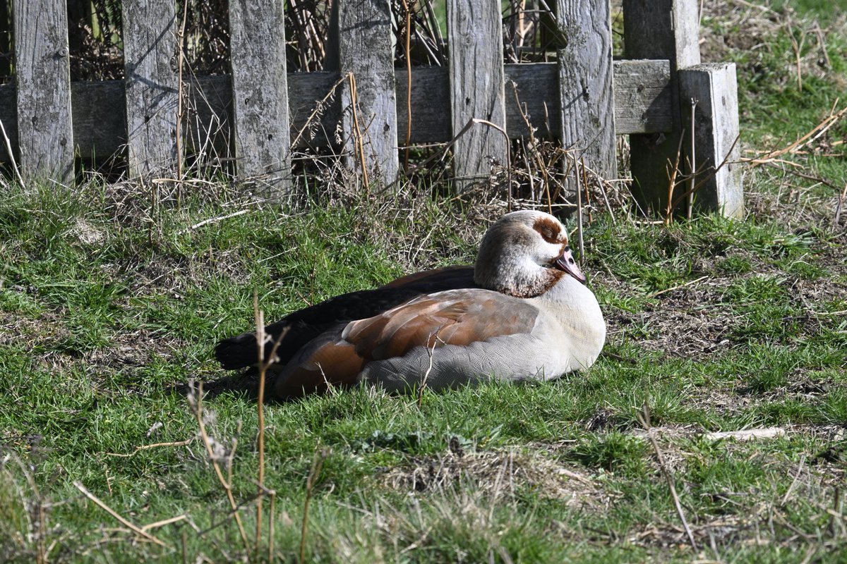 Adam Little tweet media