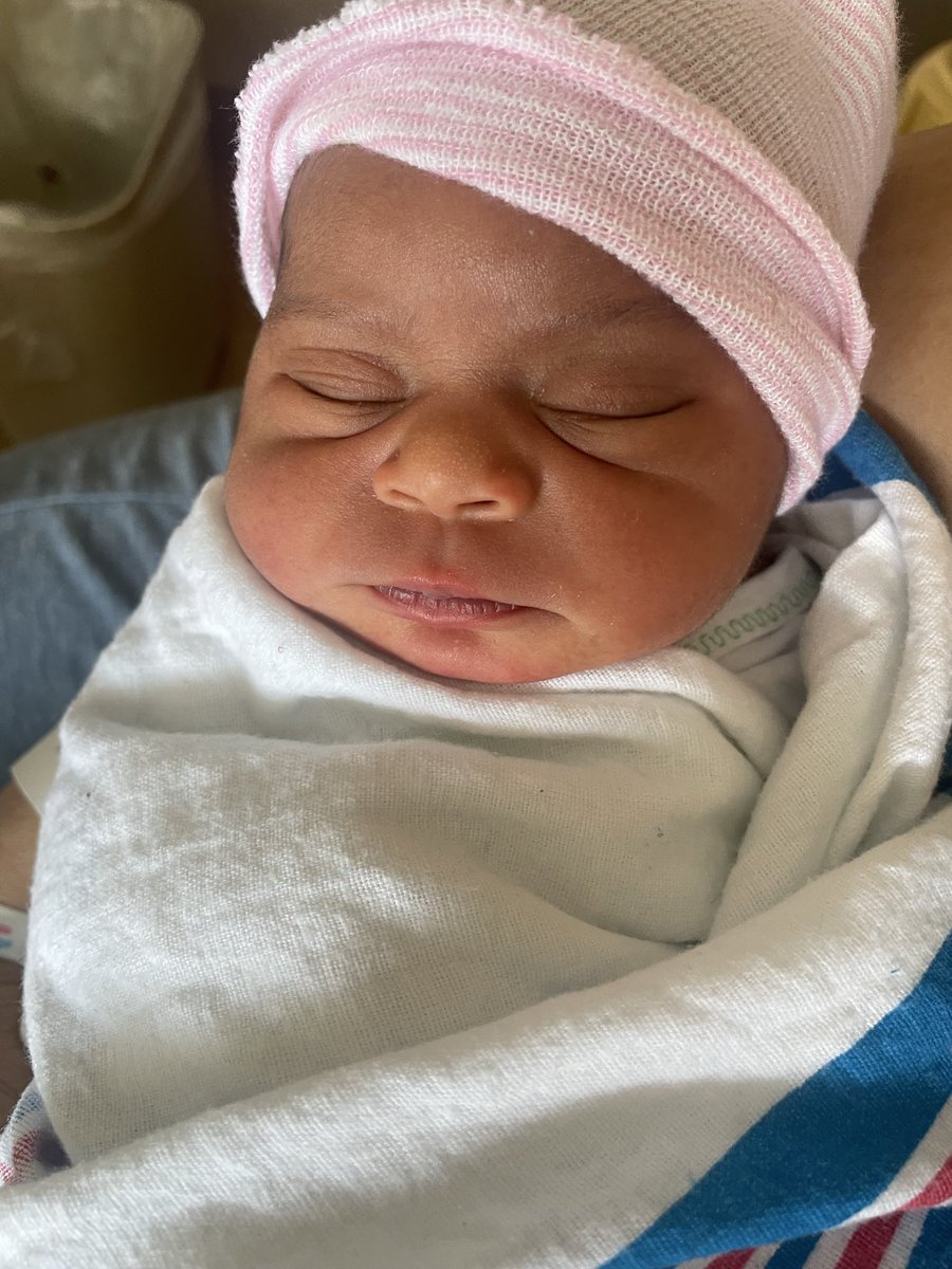 LolaSapphire tweet media